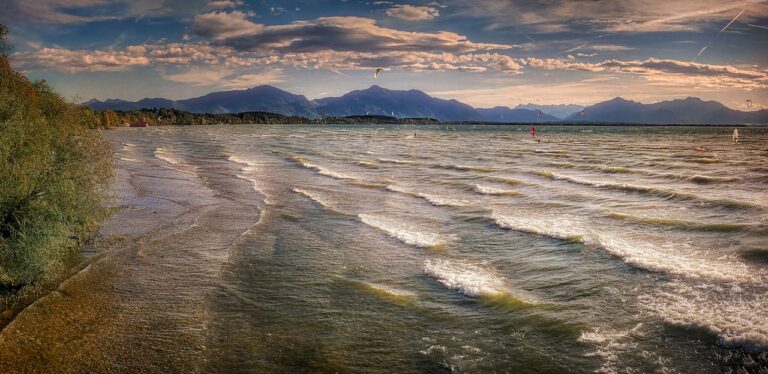 Strategies for Tackling Homophobia in Cricket