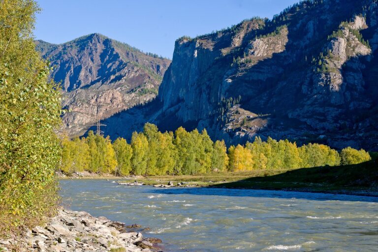 Travel Trends in the Post-Pandemic World