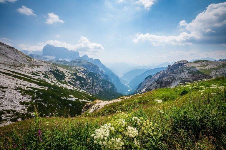 Traveling with Pets: Tips for Bringing Your Furry Friends Along