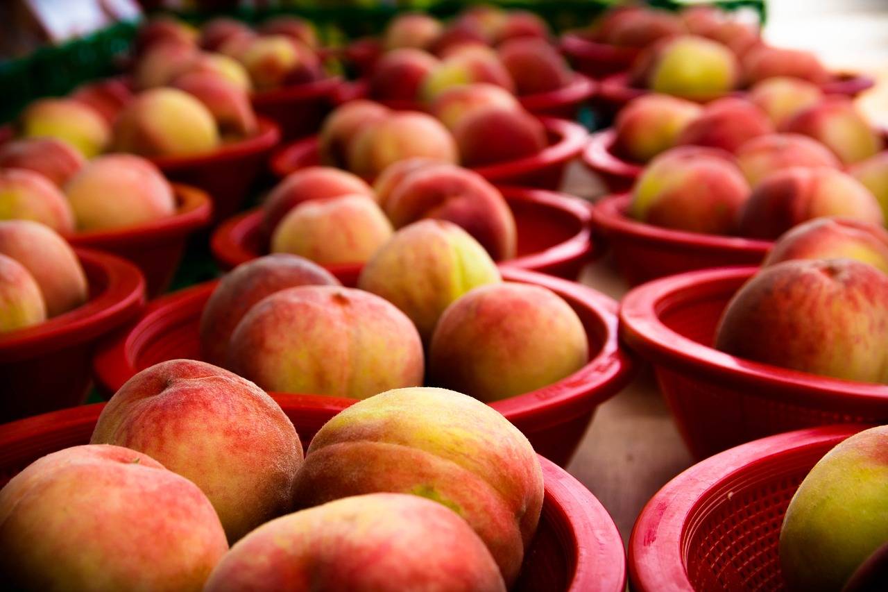 The Role of Social Listening in E-commerce: Understanding Consumer Sentiment