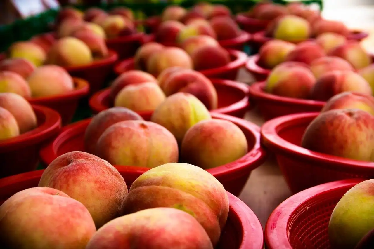 The Role of Social Listening in E-commerce: Understanding Consumer Sentiment